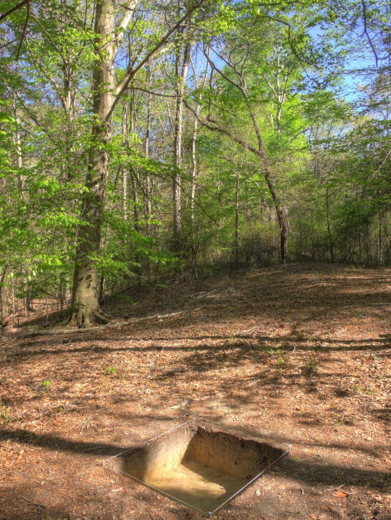 Photo of a forest and a square shape hole