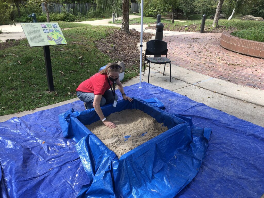 Woman in red shirt doing research